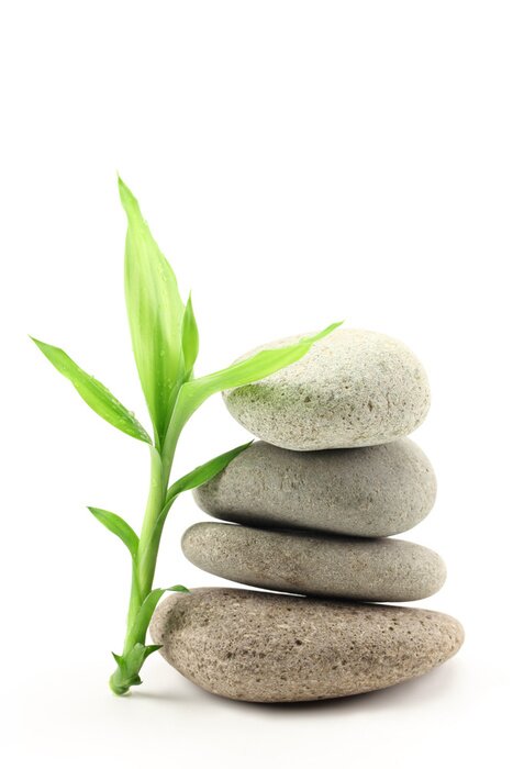 Poster Bambuszweig lehnt an einem Steinhaufen