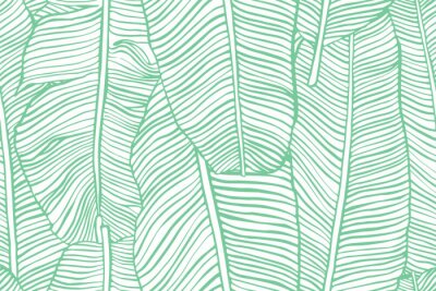 Poster Bananenblätter mit einem grünen Strich skizziert