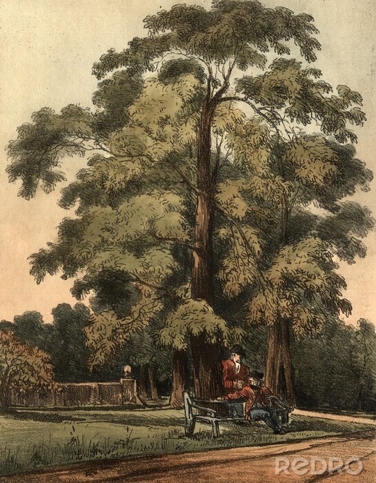 Poster Bank unter einem Baum Retro-Zeichnung