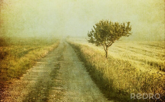 Poster Baum am Feld Vintage