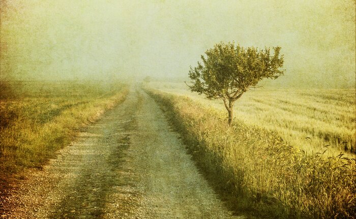 Poster Baum am Feld Vintage