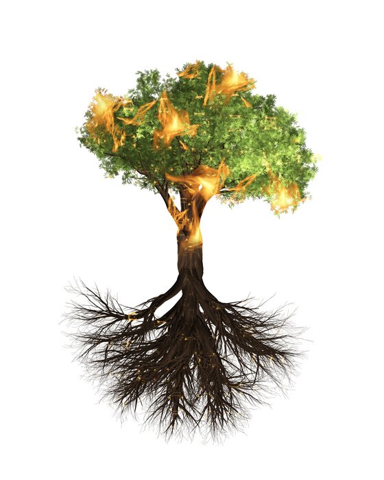 Poster Baum in Flammen auf weißem Hintergrund