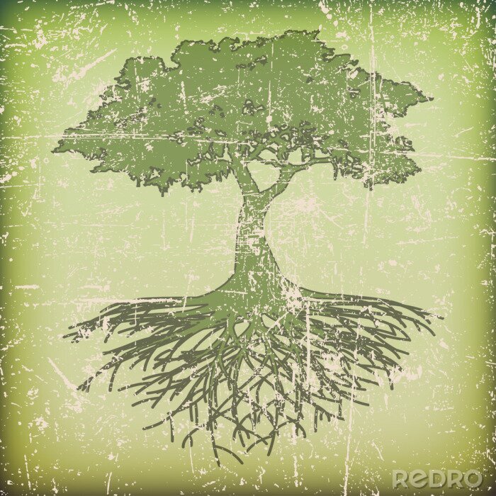 Poster Baum mit Wurzeln