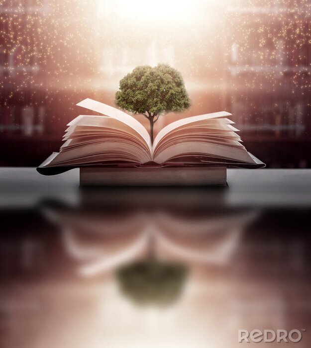 Poster Baum wächst aus einem Buch