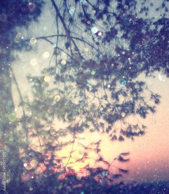 Poster Baumzweige erzeugen Spiegelungen auf der Wasseroberfläche