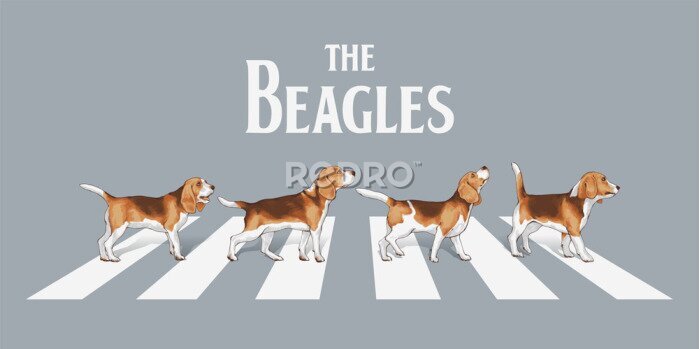 Poster Beagle an einem Fußgängerüberweg