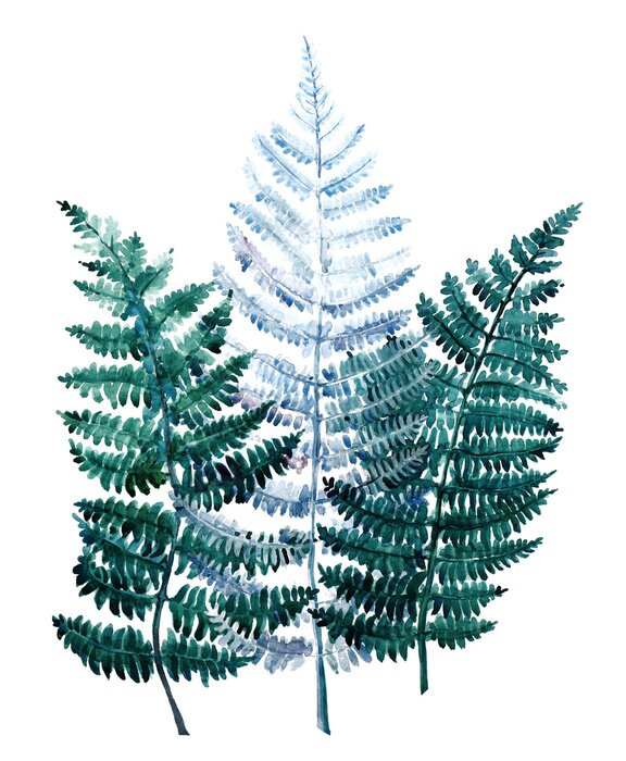 Poster Beautiful watercolor tropical leaves painted on white paper, top view