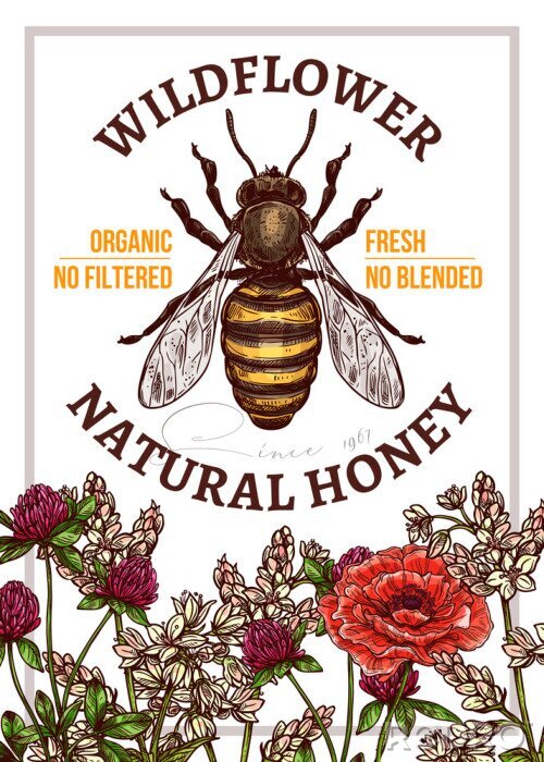 Poster Biene, Mohnblumen und andere Blumen auf einer Grafik