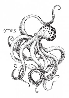 Poster Bild eines Oktopus mit Unterschrift