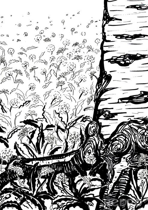 Poster Birke inmitten der Blumen Skizze schwarz-weiß