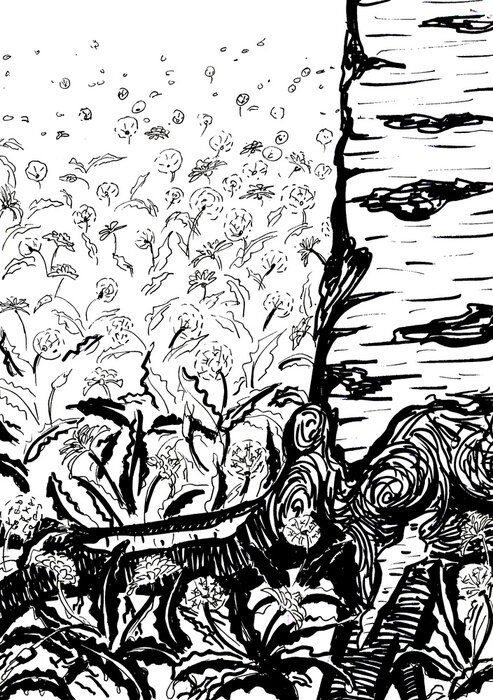 Poster Birke inmitten der Blumen Skizze schwarz-weiß