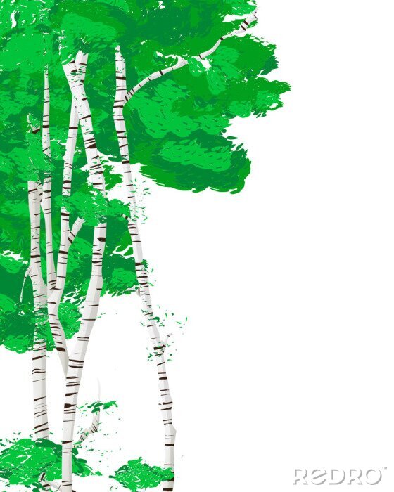 Poster Birken mit intensiv grünen Blättern