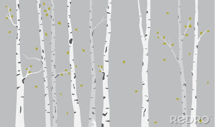 Poster Birken-Silhouette-Hintergrund