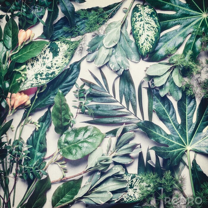 Poster Blätter aus Tropen Retro