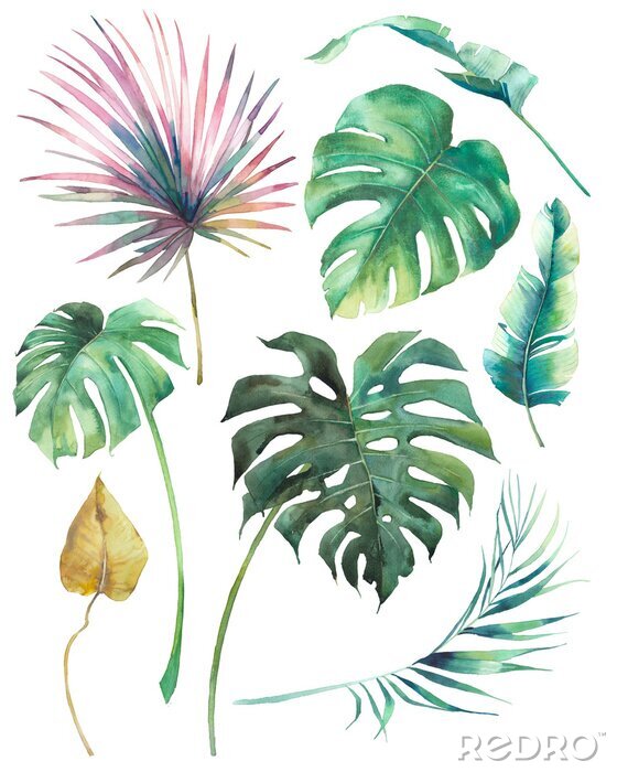 Poster Blätter der Monstera und bunte Palmen