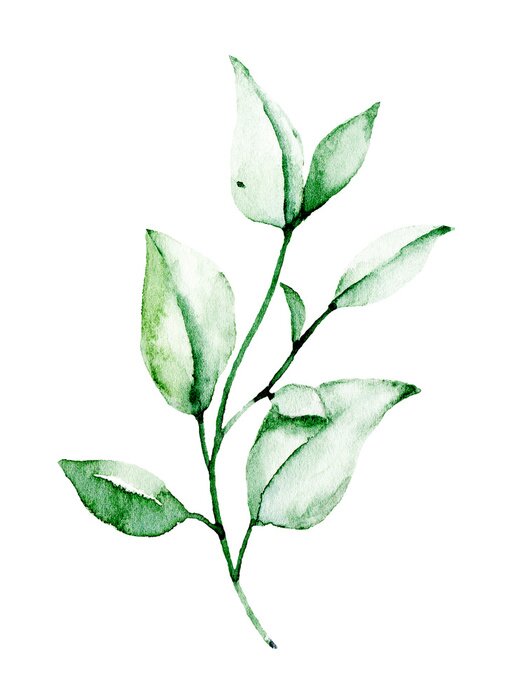 Poster Blätter grün mit Aquarellfarben gemalt