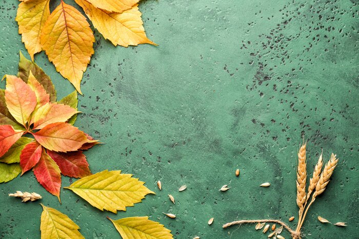 Poster Blätter und Stacheln auf einem grünen Hintergrund