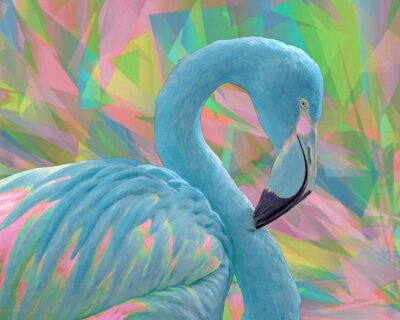 Poster Blauer Flamingo auf tropischem Hintergrund