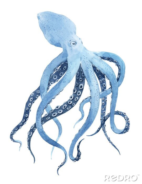 Poster Blauer Oktopus mit langen Fängen