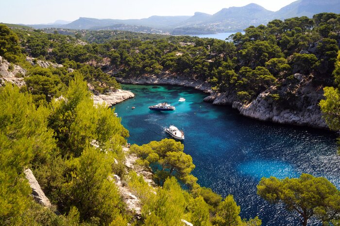 Poster Blick auf den Fluss aus der Vogelperspektive