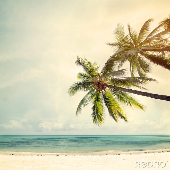 Poster Blick auf Strand Meer und Palmen