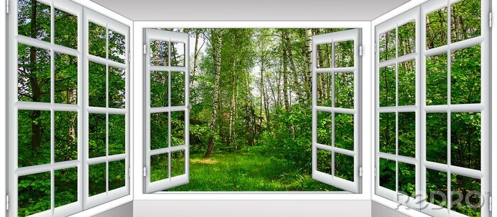 Poster Blick aus dem Erkerfenster auf den Wald