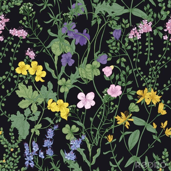Poster Blühende Wiese auf schwarzem Hintergrund
