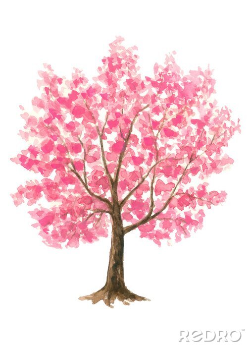 Poster Blühender Baum Kirsch Zeichnung