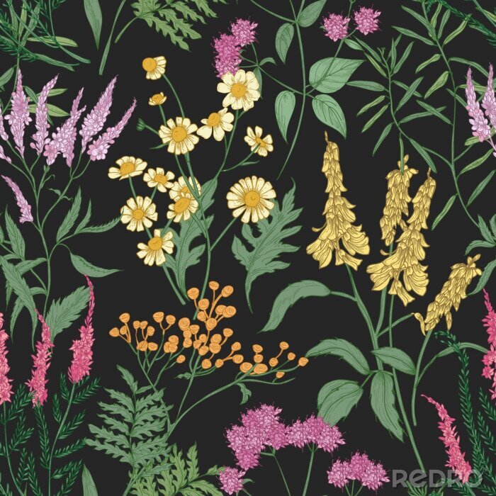 Poster Blumen auf der wilden Wiese