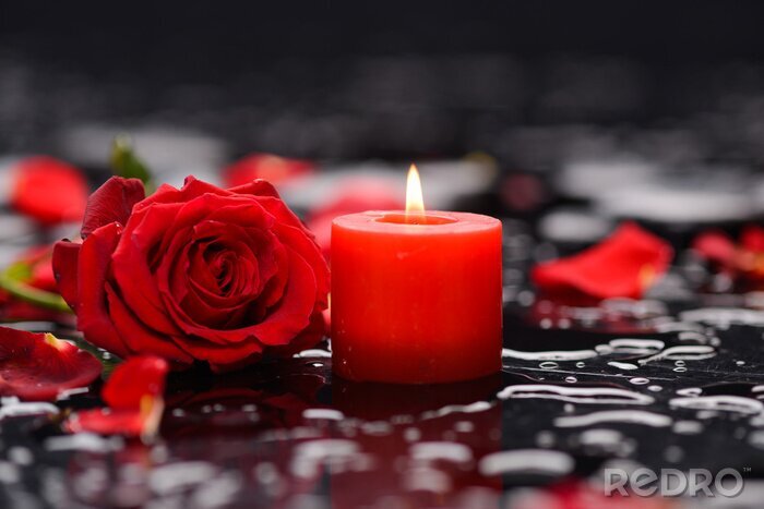 Poster Blumen der Liebe und rote Kerze