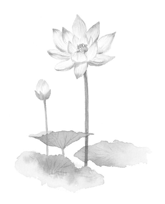 Poster Blumen und Blätter in Grautönen