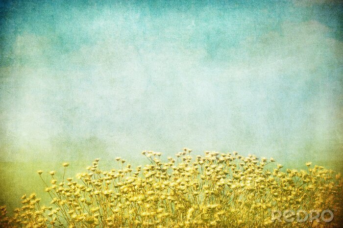 Poster Blumenfeld auf gealtertem Hintergrund