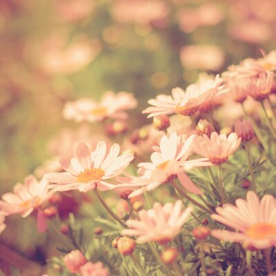 Sticker Blumenwiese vintage retro