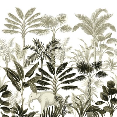 Poster Botanische Illustration des Dschungels im Vintage-Stil