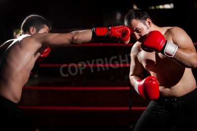 Poster Boxen 3D Kampf