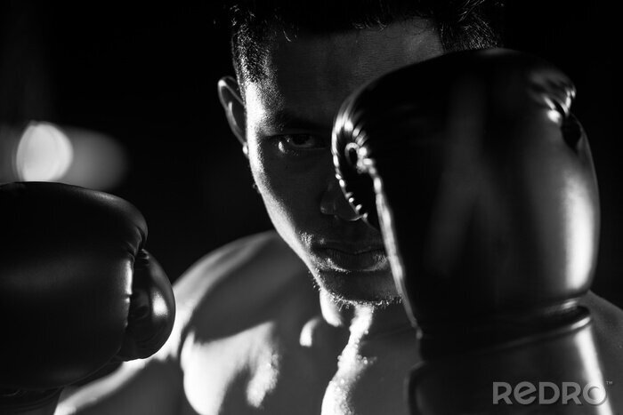 Poster Boxer auf schwarzem Hintergrund