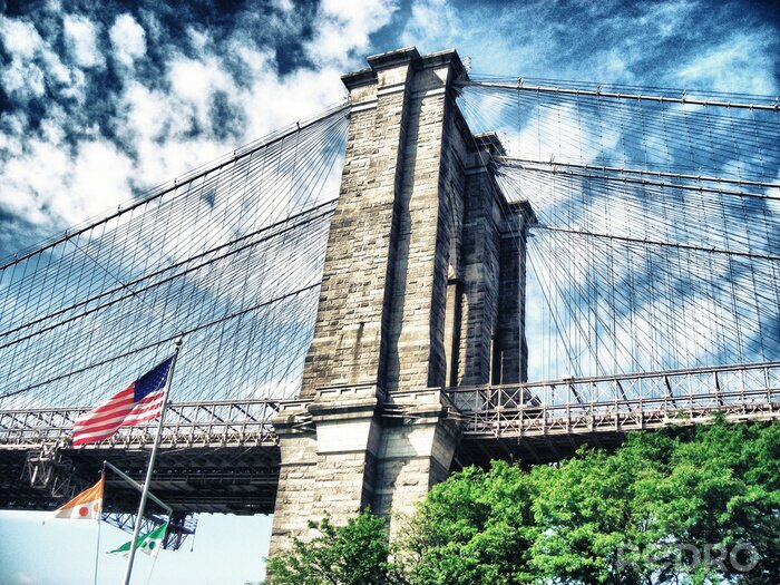 Poster Brooklyn Bridge und Blick von unten