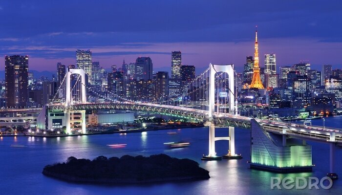 Poster Brücke Tokio Bay