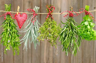 Poster Bündel aromatischer Kräuter hängen zum Trocknen an einer Schnur.