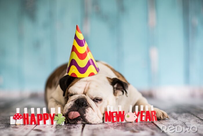 Poster Bulldogge Hund und Neujahrswünsche