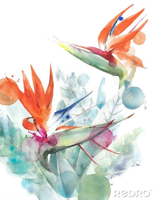 Poster Bunte Aquarellblumen