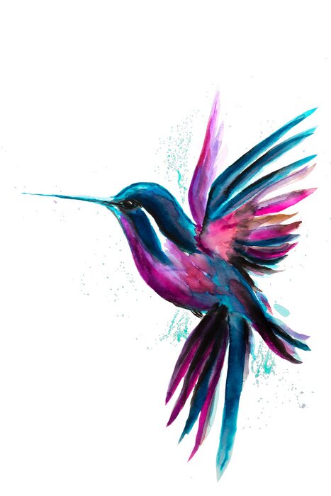 Poster Bunte Aquarellzeichnung eines Kolibris auf weißem Hintergrund