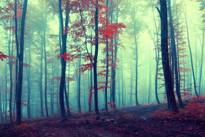 Poster Bunte Bäume Vintage