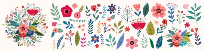 Poster Bunte Feldblumen auf weißem Hintergrund