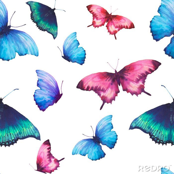 Poster Bunte große Schmetterlinge auf weißem Hintergrund