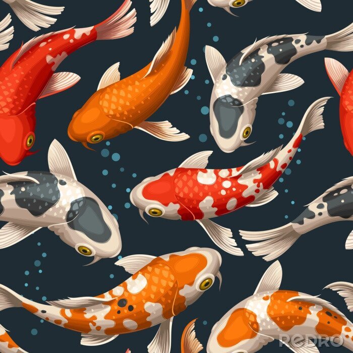 Poster Bunte Koi-Karpfen