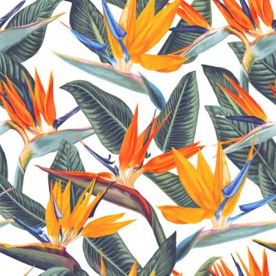 Bunte tropische Blumen auf weißem Hintergrund