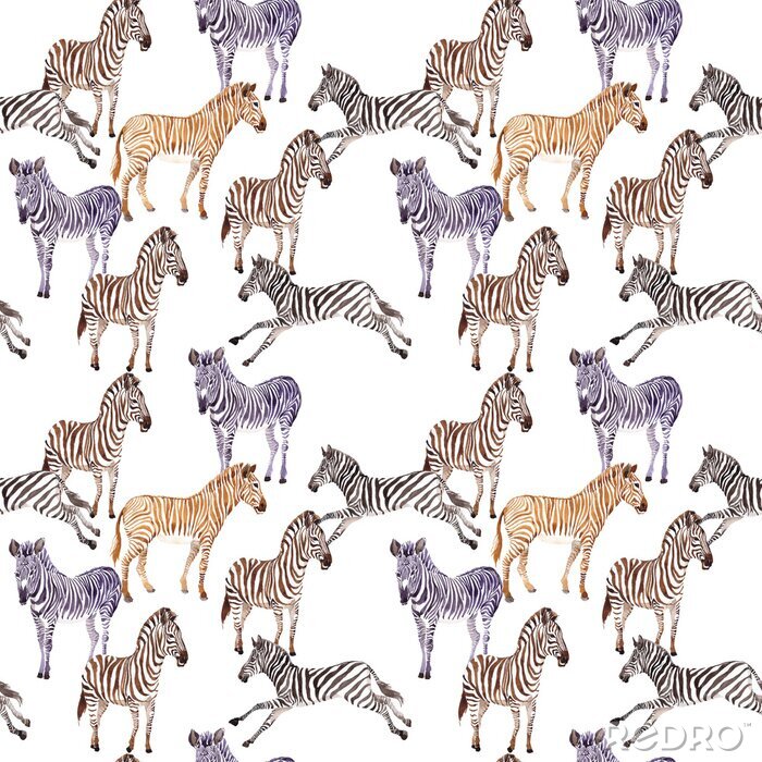 Poster Bunte Zebrastreifen