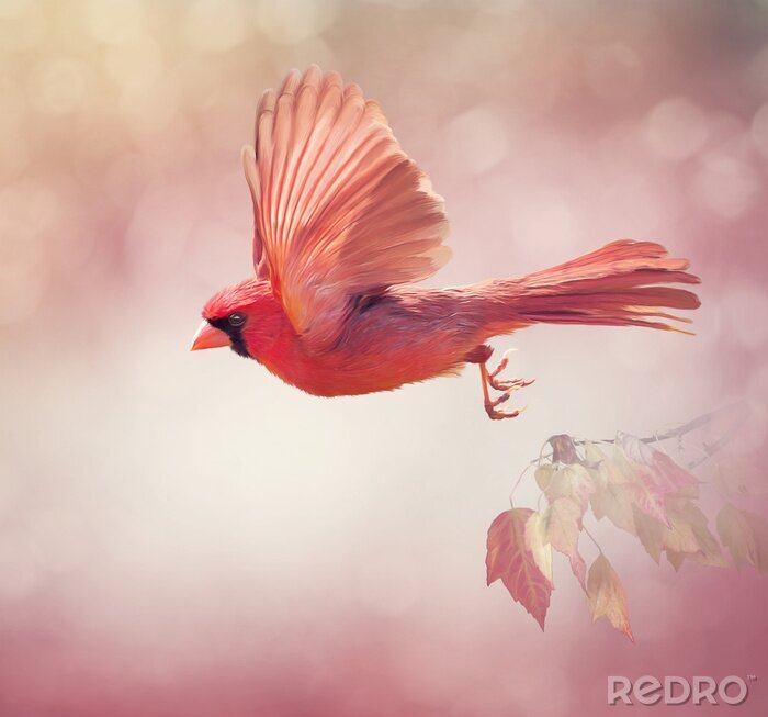 Poster Bunter Vogel auf dem rosa Hintergrund