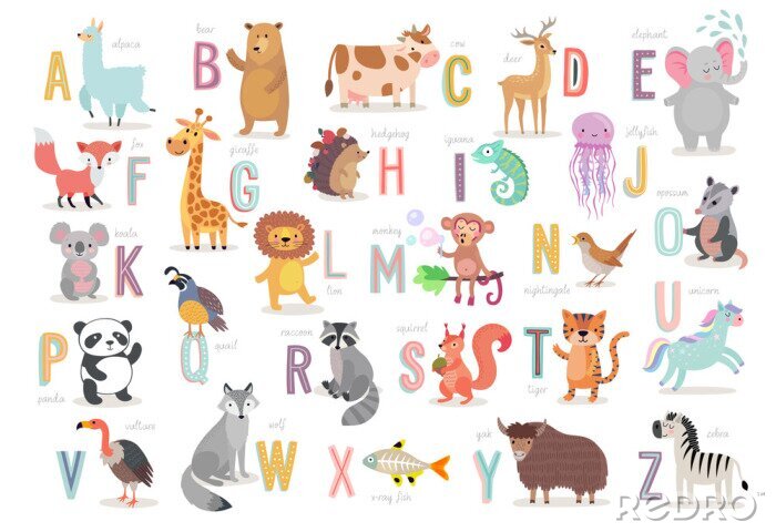 Poster Buntes Alphabet mit Tieren